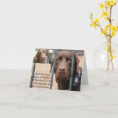 結果なしですばらしい誕生日を…持って下さい カード (黄色い花)