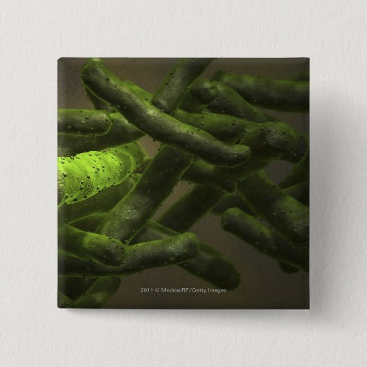 結核菌の細胞 缶バッジ (正面)