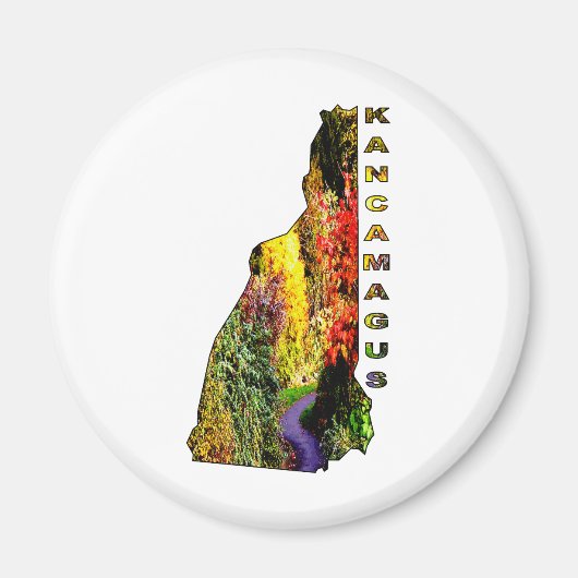 結石類 マグネット (正面)