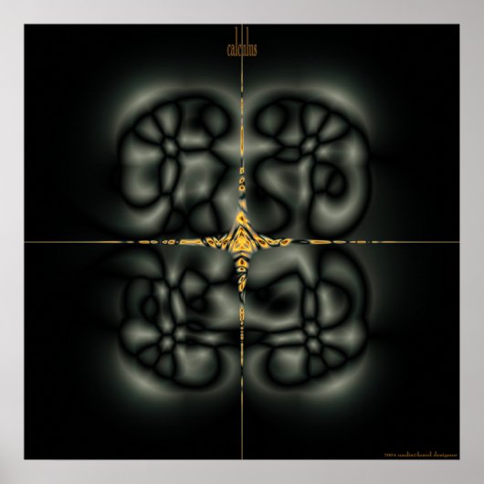 結石 ポスター (正面)