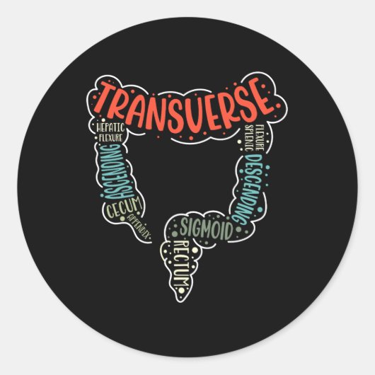 結腸鏡消化管おもしろい内視鏡ナース結腸解剖学 ラウンドシール (正面)