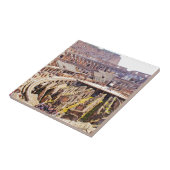 結腸 タイル (側面)