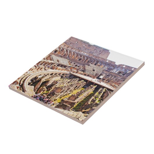 結腸 タイル (側面)