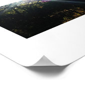 絡み合ったサンライトの枝ハワイのカラー写真 ポスター (角)