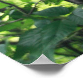 絡み合ったツリープリント ポスター (角)