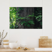 絡み合ったツリープリント ポスター (キッチン)