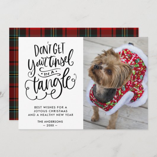 絡み合ったティンセルおもしろい犬ペット写真クリスマス シーズンカード (正面/裏面)