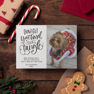 絡み合ったティンセルおもしろい犬ペット写真クリスマス シーズンカード