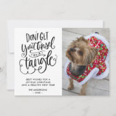 絡み合ったティンセルおもしろい犬ペット写真クリスマス シーズンカード (正面)