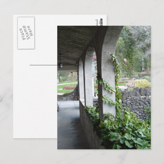 絡み合った ポストカード (正面/裏面)