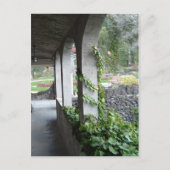 絡み合った ポストカード (正面)