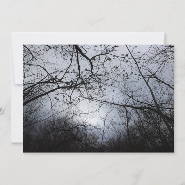 絡み合わせる (正面)