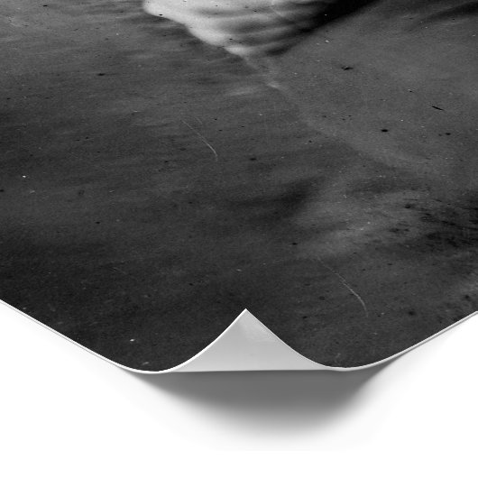 給与またはパウエル: 1865 ポスター (角)