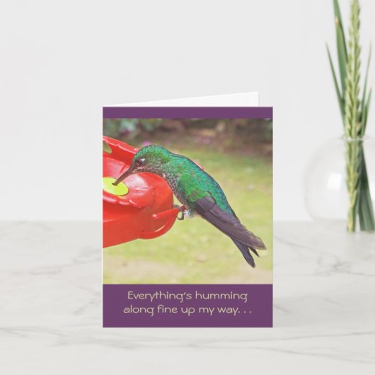 給餌器でハミングバードがハミングしている カード (正面)