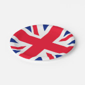 統一された国 ペーパープレート (アングル)