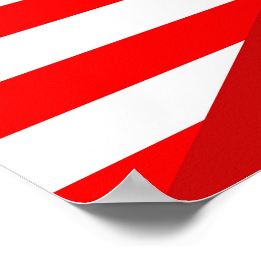 統一された州アメリカリトアニア半旗アメリカ国旗coun ポスター (角)