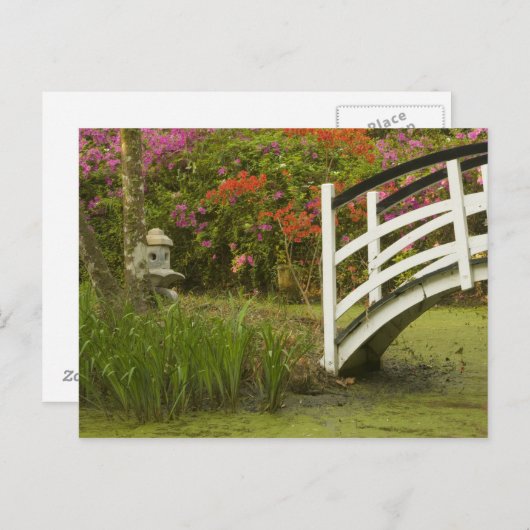 統一された州サウスカロライナ州、チャールストン、2 ポストカード (正面/裏面)