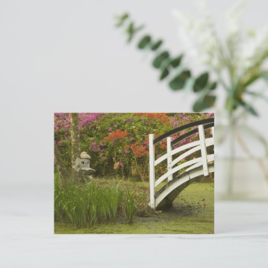 統一された州サウスカロライナ州、チャールストン、2 ポストカード (スタンド正面)