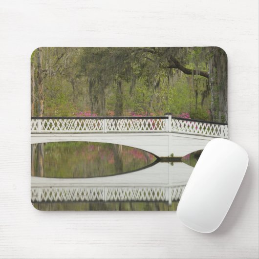 統一された州サウスカロライナ州、チャールストン、3 マウスパッド (マウス)