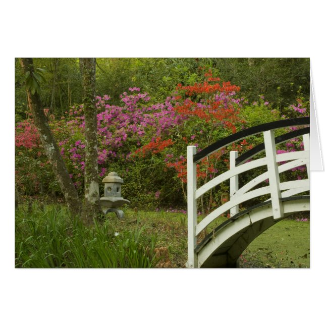 統一された州サウスカロライナ州、チャールストン、5 (正面横)