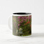 統一された州サウスカロライナ州、チャールストン、5 ツートーンマグカップ (正面左)