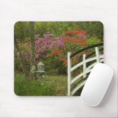 統一された州サウスカロライナ州、チャールストン、5 マウスパッド (マウス)