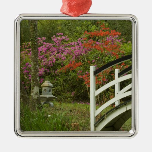 統一された州サウスカロライナ州、チャールストン、5 メタルオーナメント (正面)