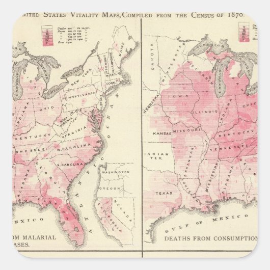 統一された州バイタリティマップ スクエアシール (正面)