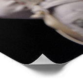 統一された州フェンシング ポスター (角)