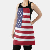統一された州フラグ エプロン (インサイチュ)