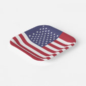 統一された州フラグ ペーパープレート (傾斜あり)