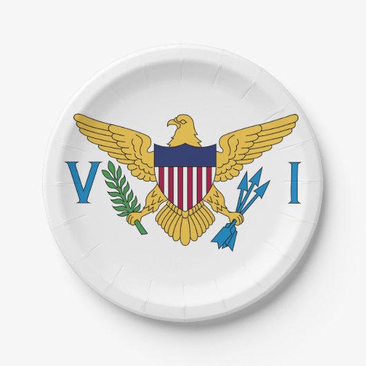 統一された州ヴァージン諸島国旗 ペーパープレート (正面)
