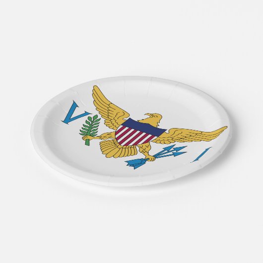 統一された州ヴァージン諸島国旗 ペーパープレート (アングル)