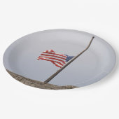 統一された州半旗（米国） ペーパープレート (アングル)