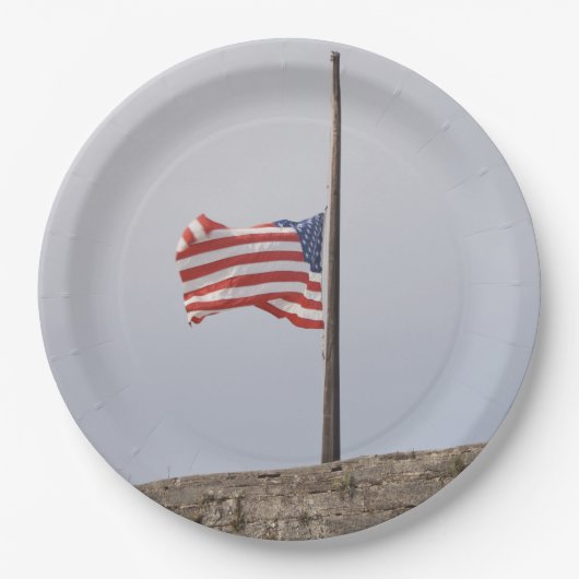 統一された州半旗（米国） ペーパープレート (正面)