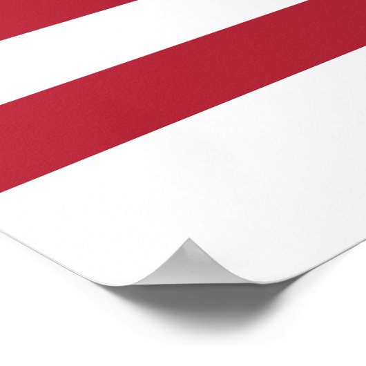 統一された州平和旗 ポスター (角)