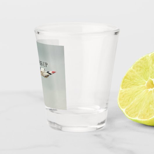 統一された州空軍雷鳥F-16 ショットグラス (右)