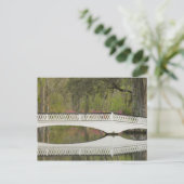 統一された州；サウスカロライナ；チャールストン； 3 ポストカード (スタンド正面)