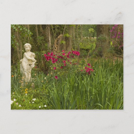 統一された州；サウスカロライナ；チャールストン； 4 ポストカード (正面)