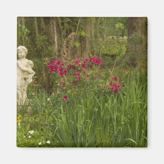 統一された州；サウスカロライナ；チャールストン； 4 マグネット (正面)