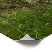 統一された州;サウスカロライナ;チャールストン; 5 ポスター (角)