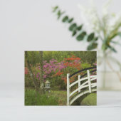 統一された州;サウスカロライナ;チャールストン; 5 ポストカード (スタンド正面)