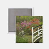 統一された州;サウスカロライナ;チャールストン; 5 マグネット (正面/裏面)