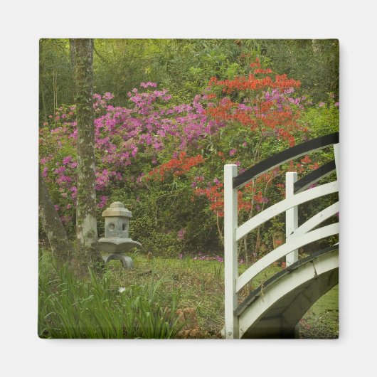 統一された州;サウスカロライナ;チャールストン; 5 マグネット (正面)