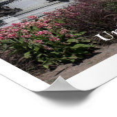 統一された州 ポスター (角)