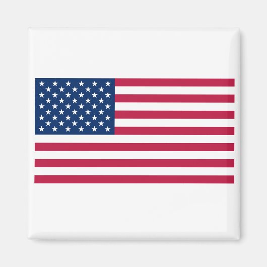 統一された州 マグネット (正面)