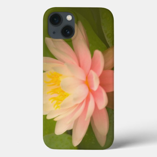 統一された州、メリーランド、ウェストミンスター、ユニオン Case-Mate iPhoneケース (裏面)