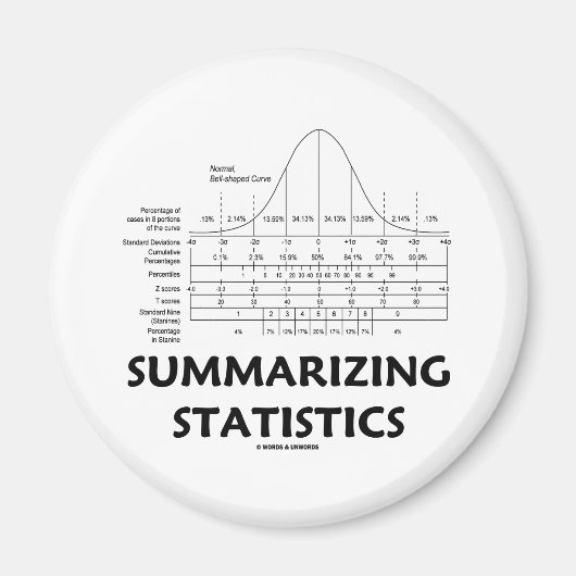 統計の要約 マグネット (正面)