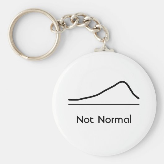 統計愛好家のキーチェーンでは正常ではない キーホルダー (正面)