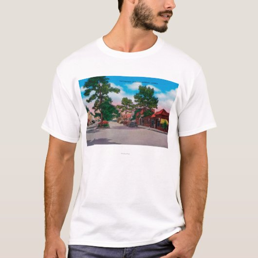 絵のようなビジネス地区、Carmel Tシャツ (正面)